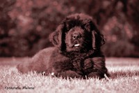 /album/fotogalerij1/mariel-20-jpg/